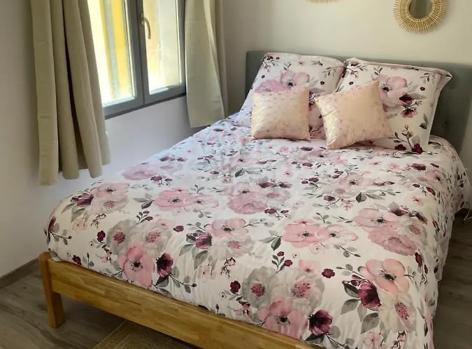 Apartment : Centre Historique Ajaccio (Corsica)